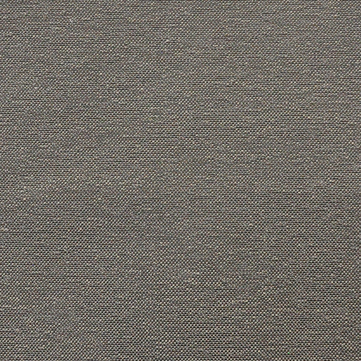 Eade’s # 818 THUNDER