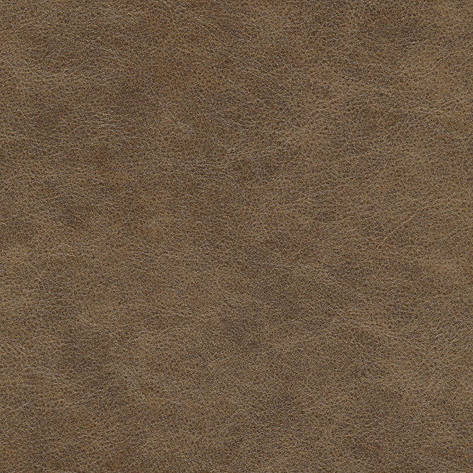 Eade’s # 698 TRAVERSE