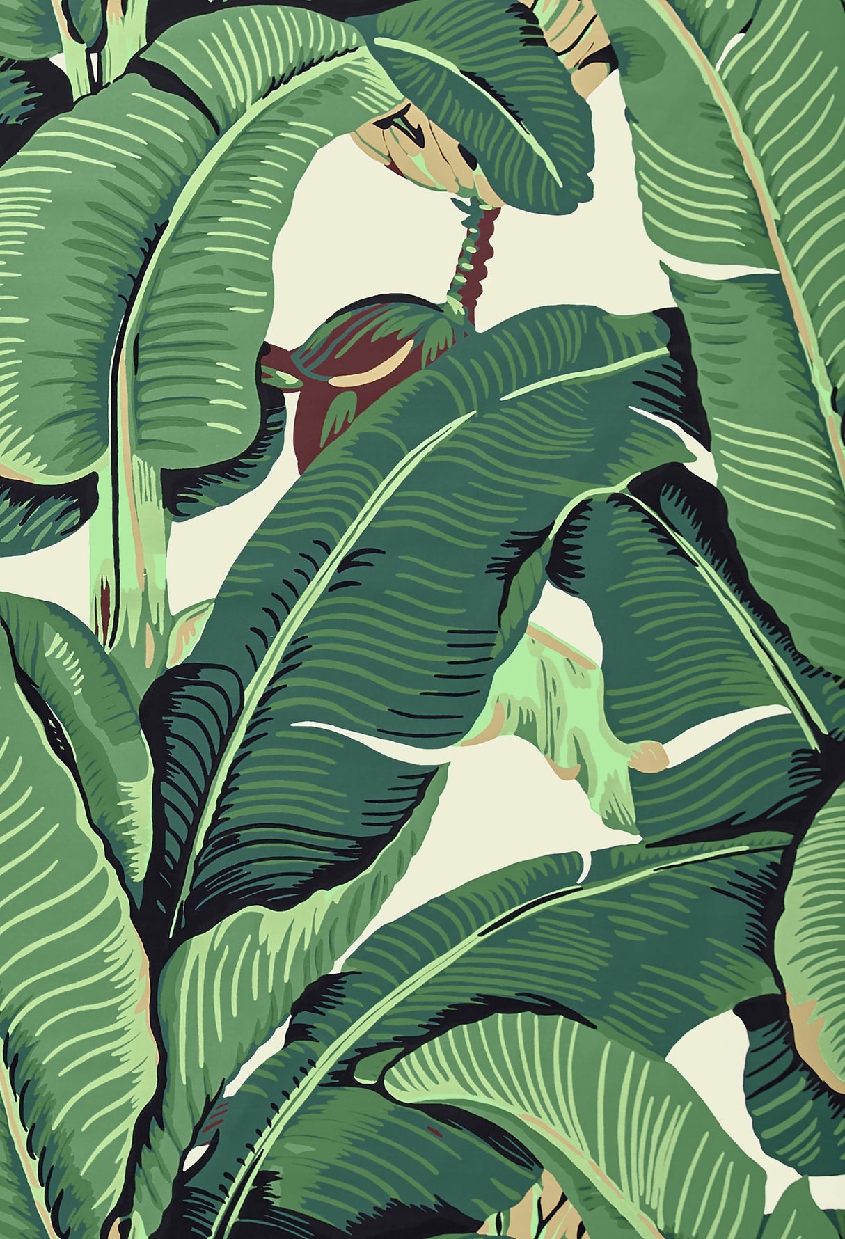 Scalamandre HN 000142010 GREEN HINSON PALM - COTTON PRINT Fabric - Eade's Wallpaper