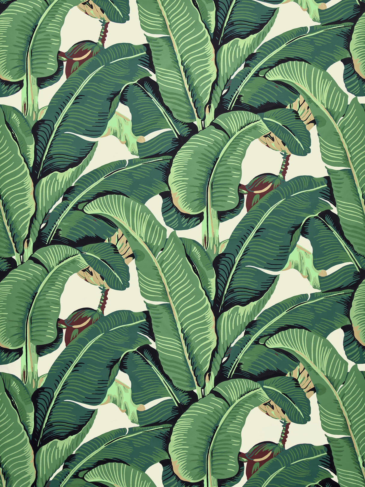 Scalamandre HN 000142010 GREEN HINSON PALM - COTTON PRINT Fabric - Eade's Wallpaper