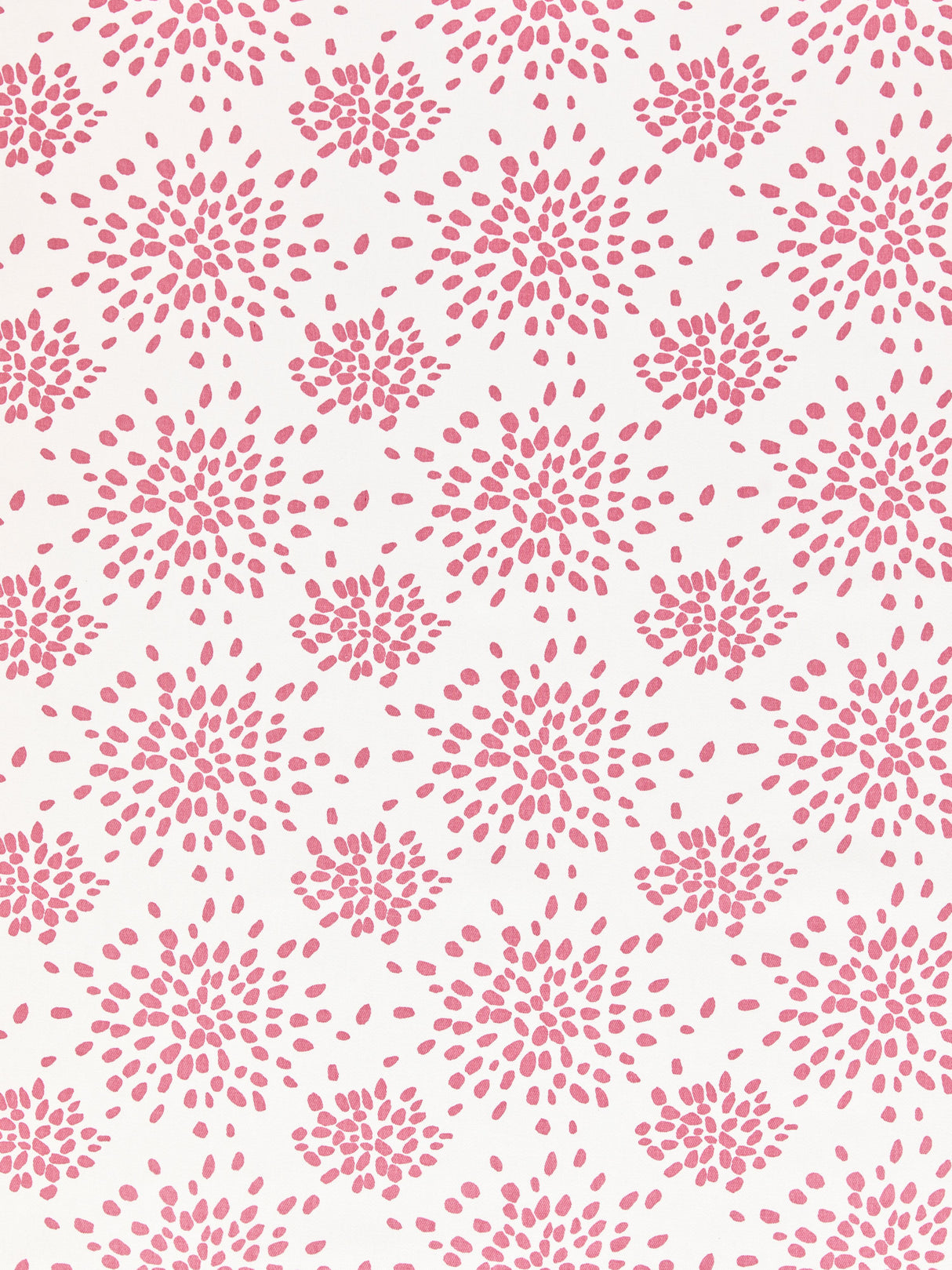 Scalamandre HN 000DF1020 CUPCAKE PINK FIREWORKS COTTON PRINT Fabric - Eade's Wallpaper