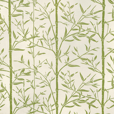 KRAVET COUTURE HS BAMBOO.31.0 HS BAMBOO CACTUS Fabric - HARWOOD STEIGER