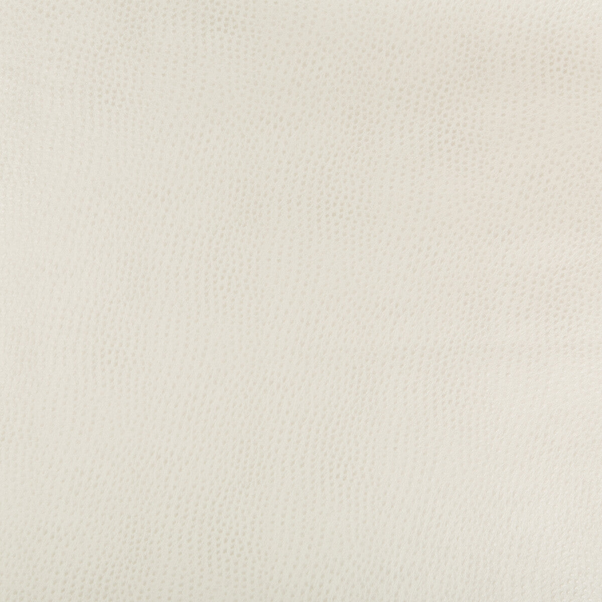 KRAVET DESIGN HUBBLE.111.0 KRAVET DESIGN HUBBLE-111 Fabric - Eade's Wallpaper