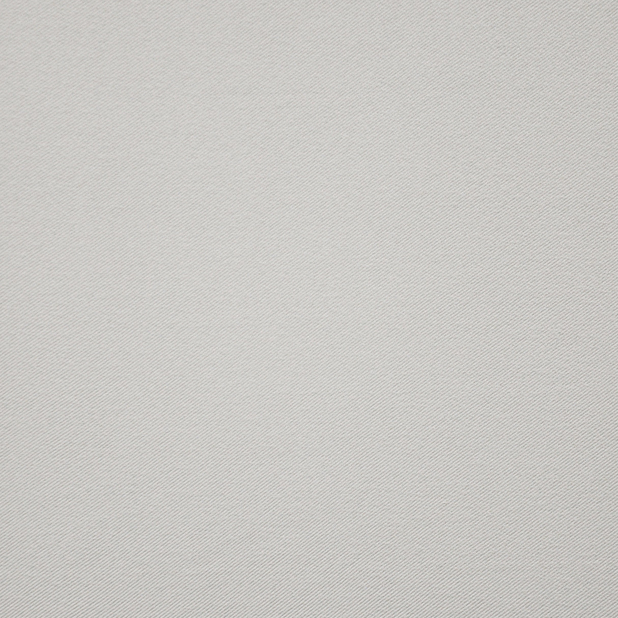 Eade’s # 118 CHINCHILLA