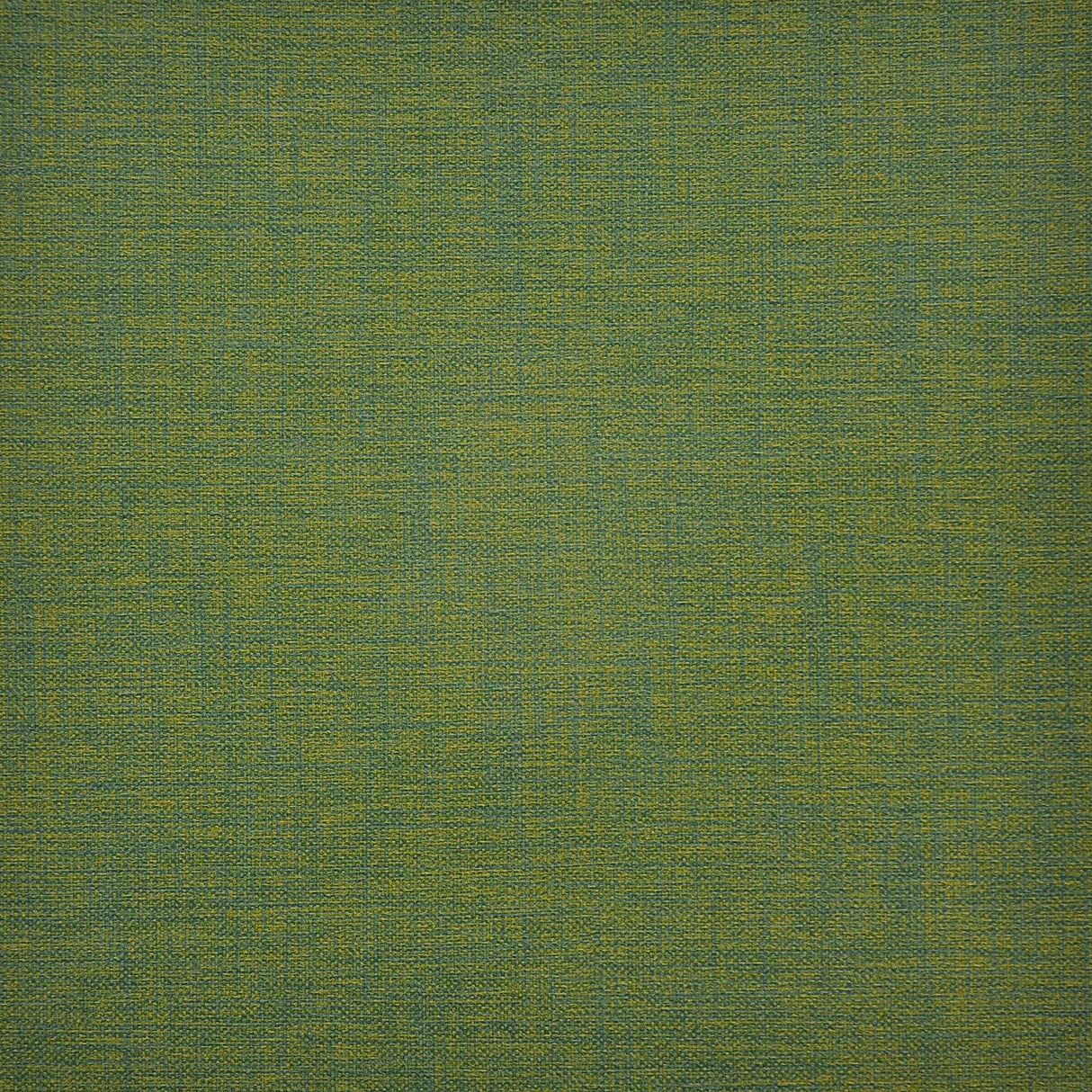 Eade’s # 213 BAMBOO