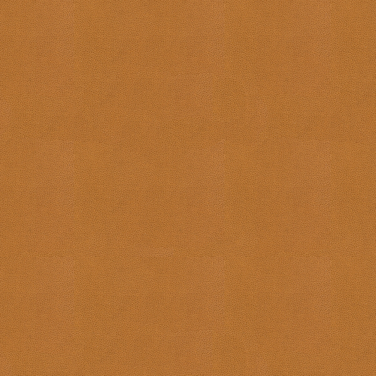 KRAVET COUTURE IMPACT.16.0 IMPACT CARAMEL Fabric - Eade's Wallpaper
