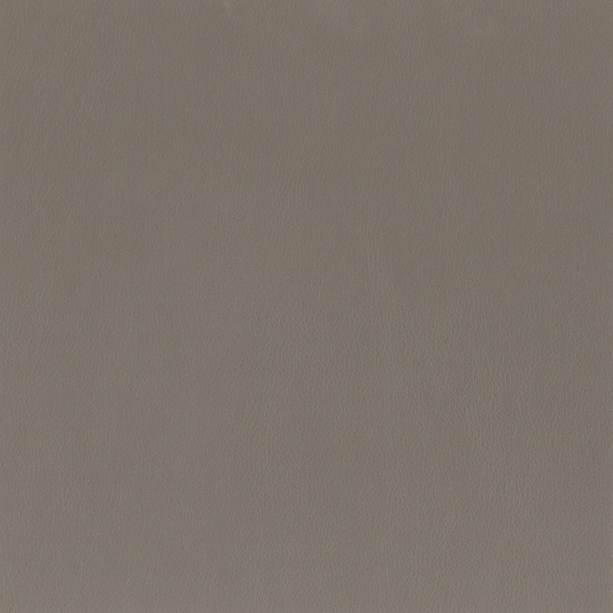 Eade's INDE-7-sample IRON