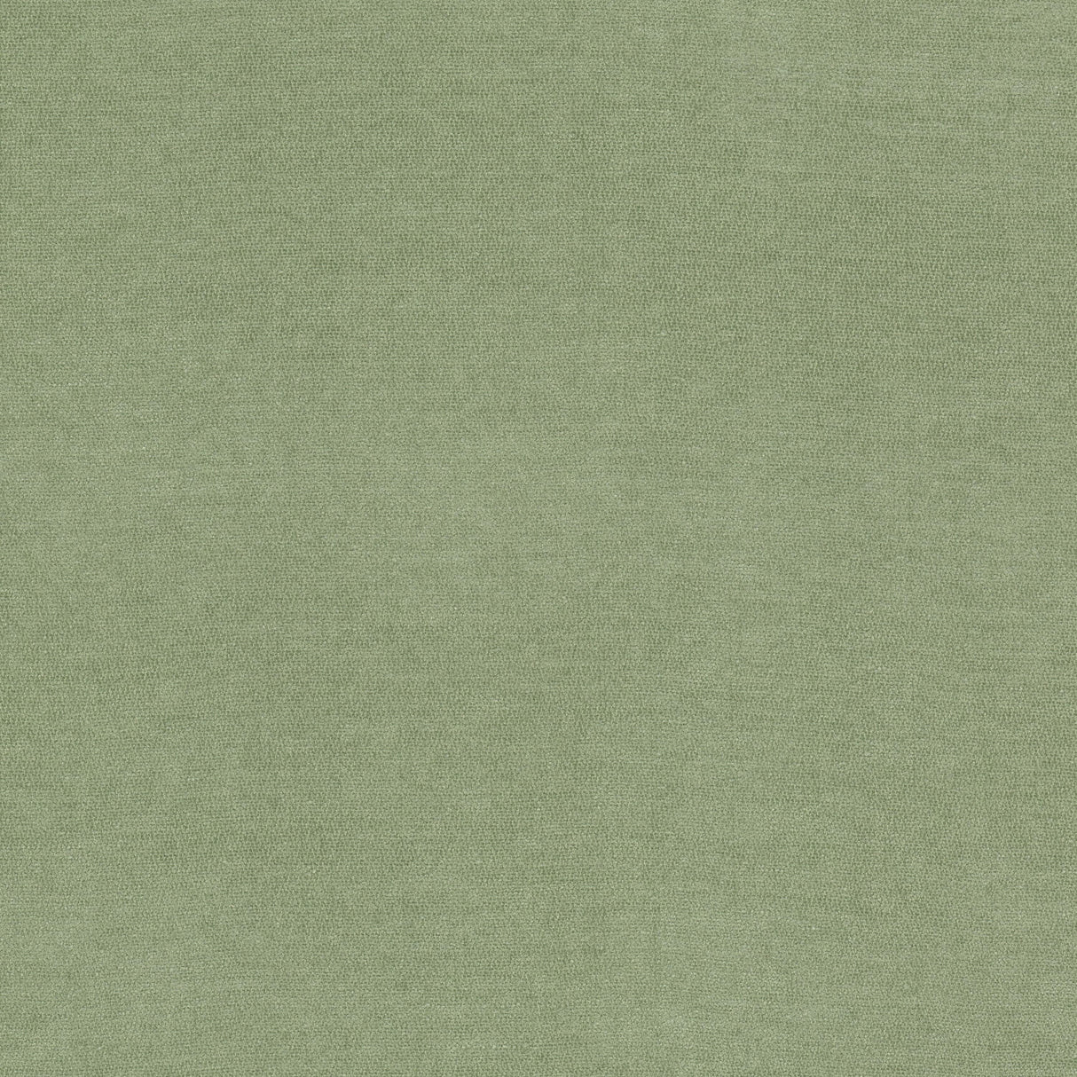 Eade's INEV-1-sample CELADON