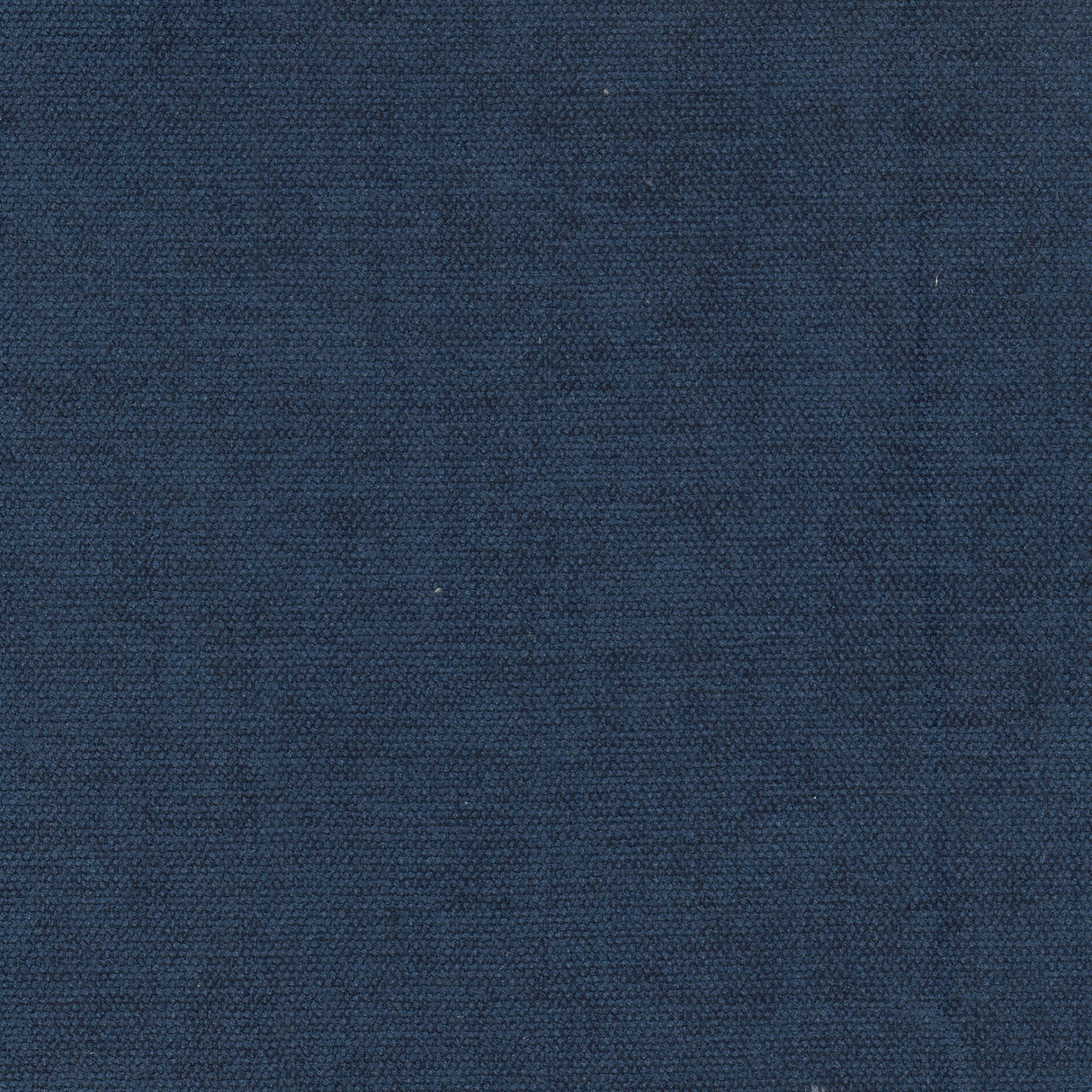 Eade's INTE-5-sample COBALT