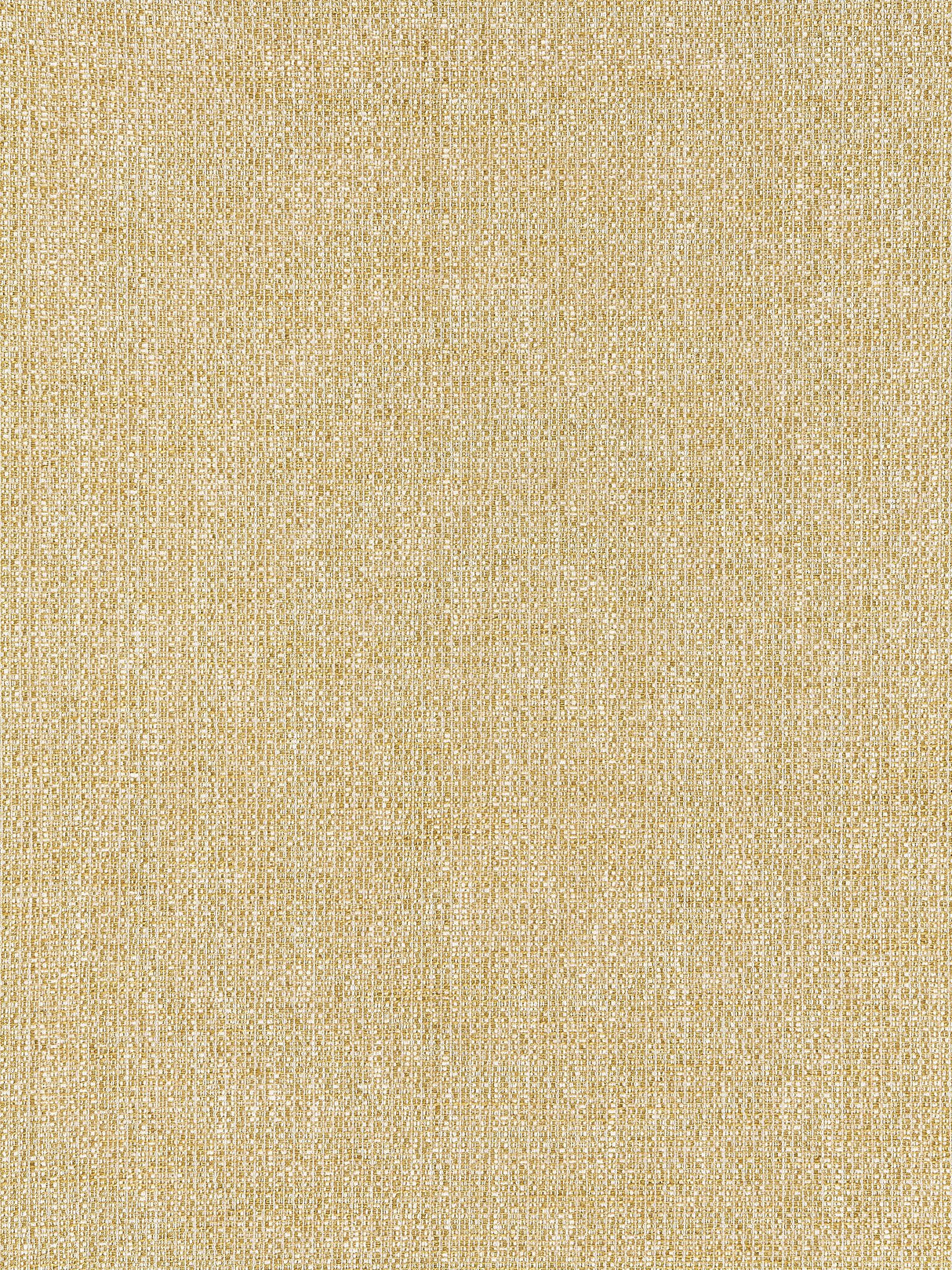 Scalamandre IO 0003109D GOLD FLINT Fabric - Eade's Wallpaper
