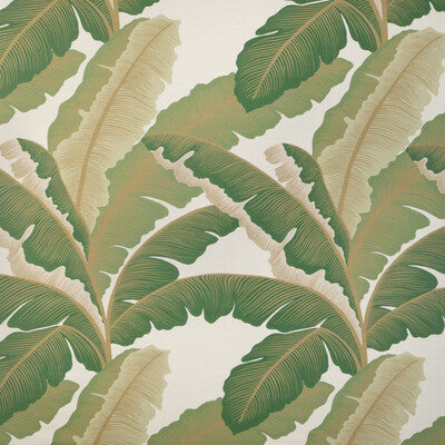 KRAVET COUTURE ISLA ROYAL.430.0 ISLA ROYAL GOLDEN PALM Fabric - Eade's Wallpaper