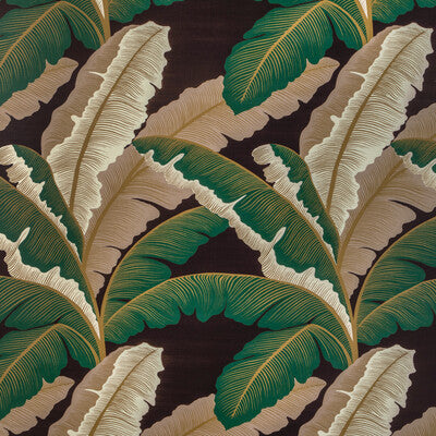 KRAVET COUTURE ISLA ROYAL.630.0 ISLA ROYAL CACAO Fabric - Eade's Wallpaper