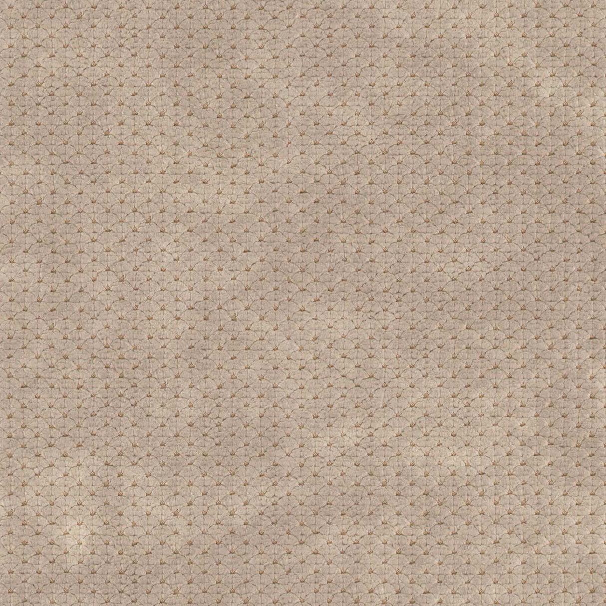 Eade’s # 719 KANGAROO