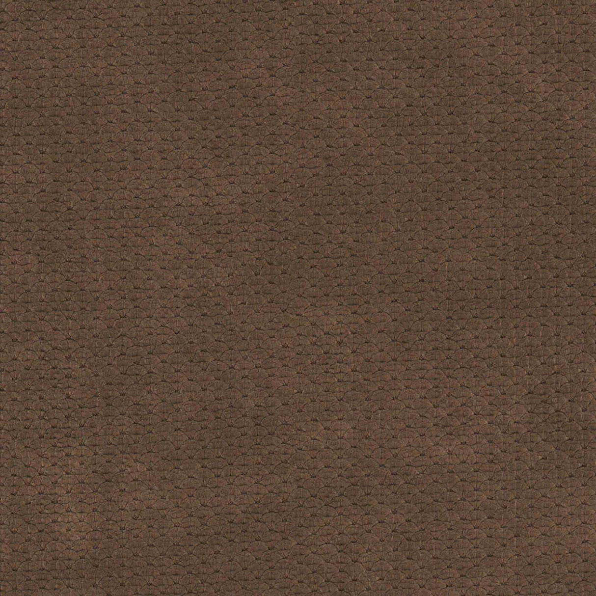 Eade’s # 725 BROWNIE