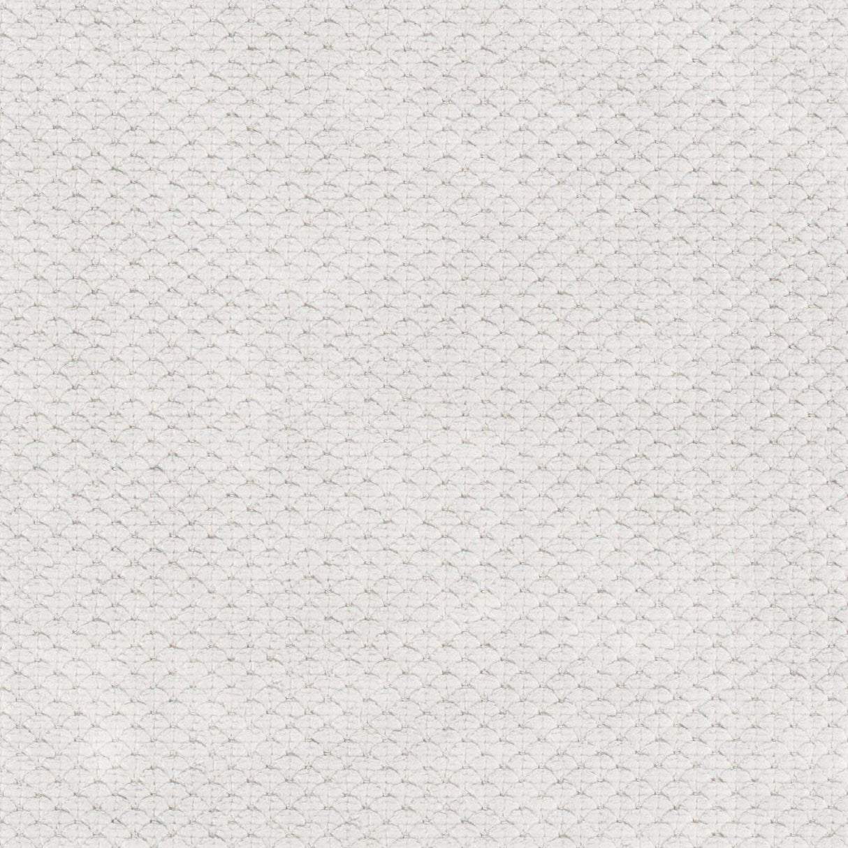 Eade’s # 739 RAINCLOUD