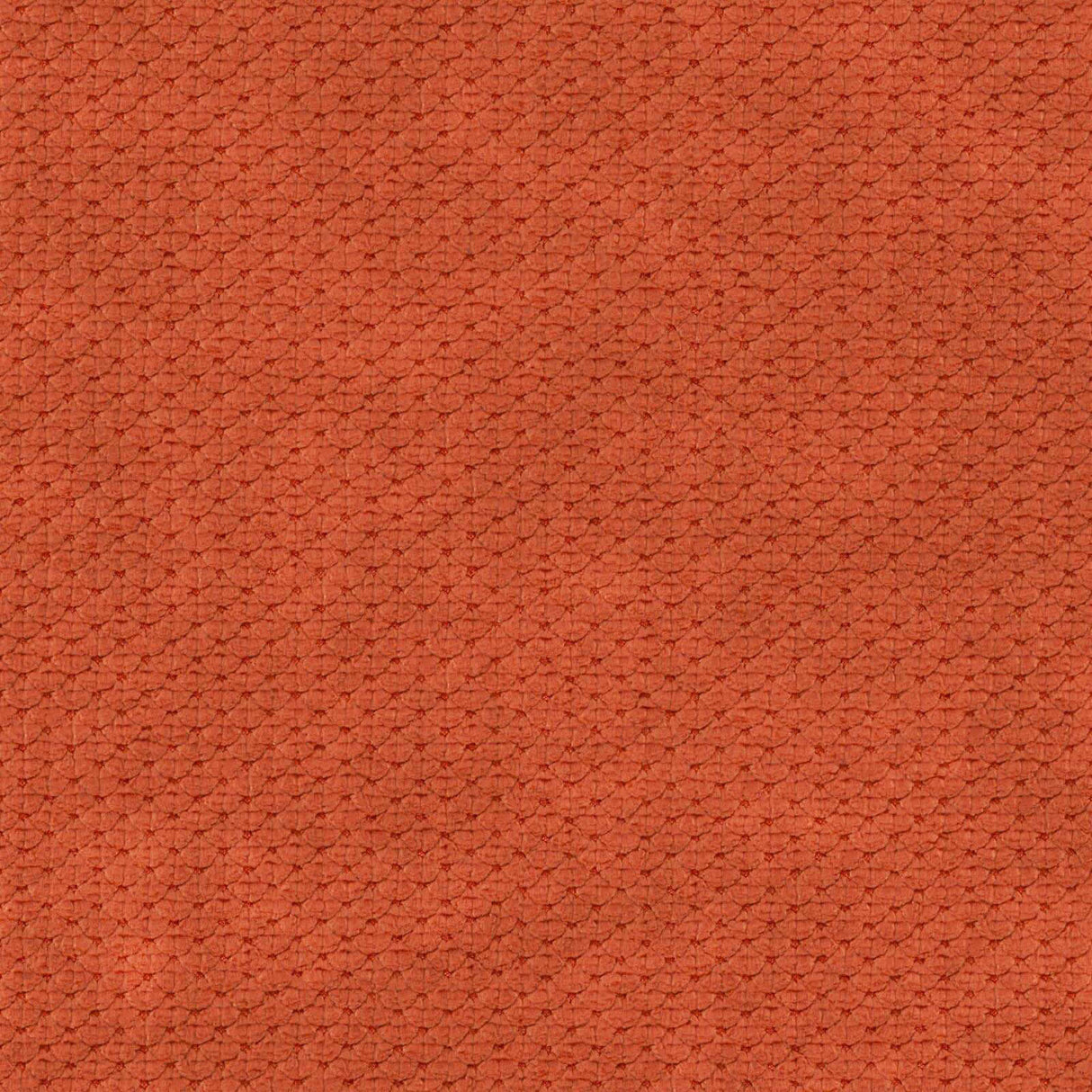 Eade’s # 905 TERRA