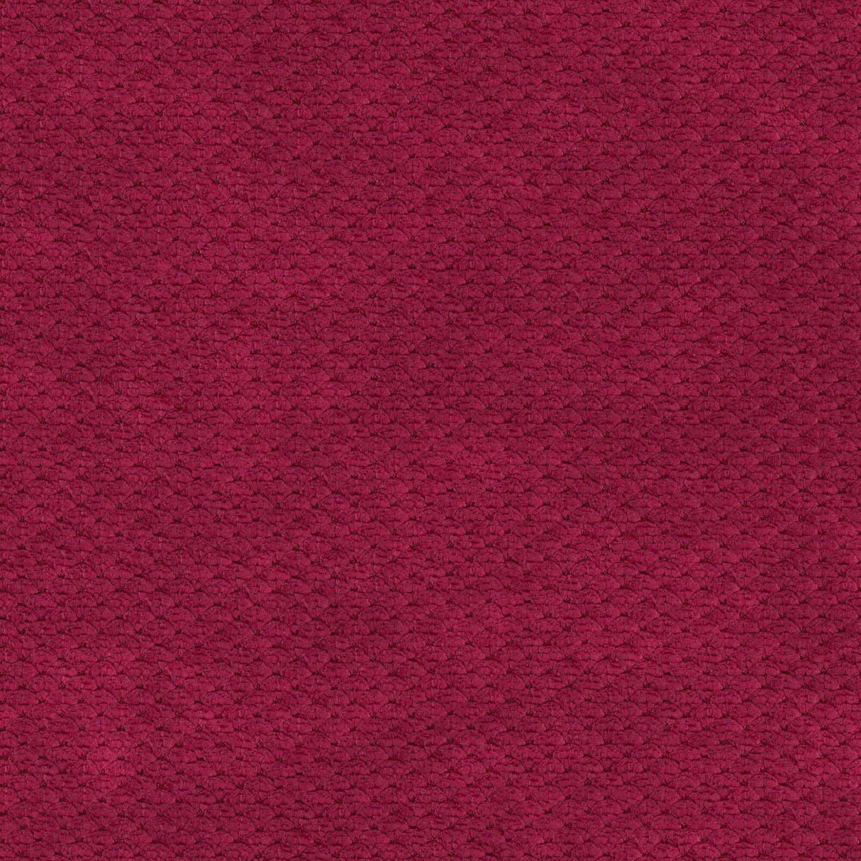 Eade’s # 911 PASSION