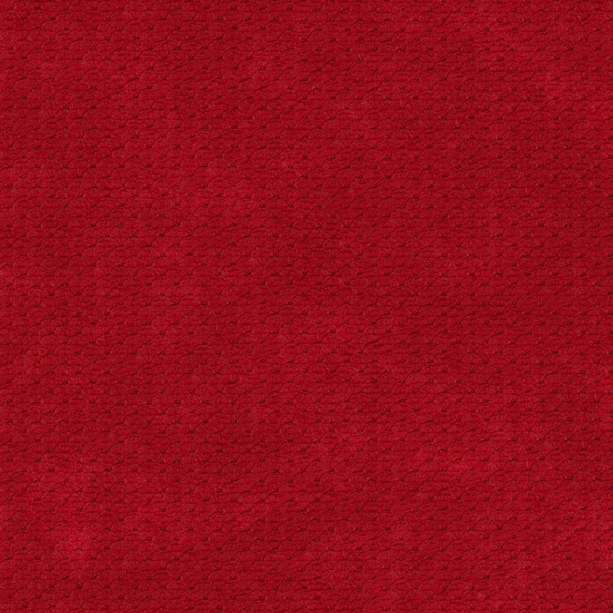 Eade’s # 916 CABERNET