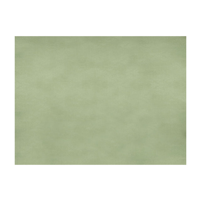 BRUNSCHWIG & FILS JAG-50002.23.0 SUKHOTHAI CELADON GREEN Fabric - Eade's Wallpaper