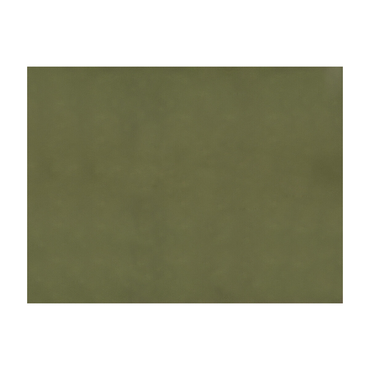 BRUNSCHWIG & FILS JAG-50002.30.0 SUKHOTHAI OLIVE  Fabric - Eade's Wallpaper
