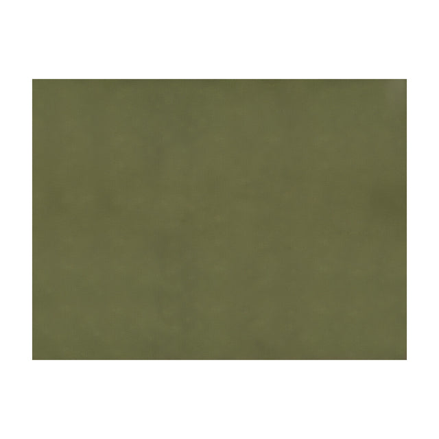 BRUNSCHWIG & FILS JAG-50002.30.0 SUKHOTHAI OLIVE  Fabric - Eade's Wallpaper