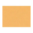 BRUNSCHWIG & FILS JAG-50020.44.0 SHOTS CURRY Fabric - Eade's Wallpaper