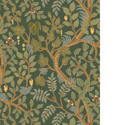 KRAVET COUTURE BRUSHWOOD JMW1050.11.0 in 11 Wallpaper - JOSE
