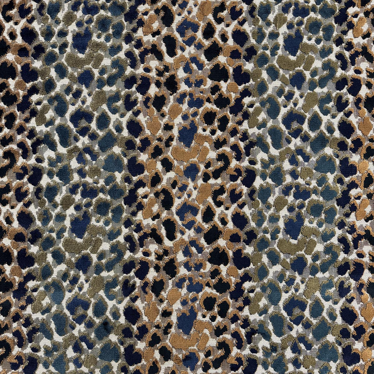 Eade’s JODI GINGER GINGER