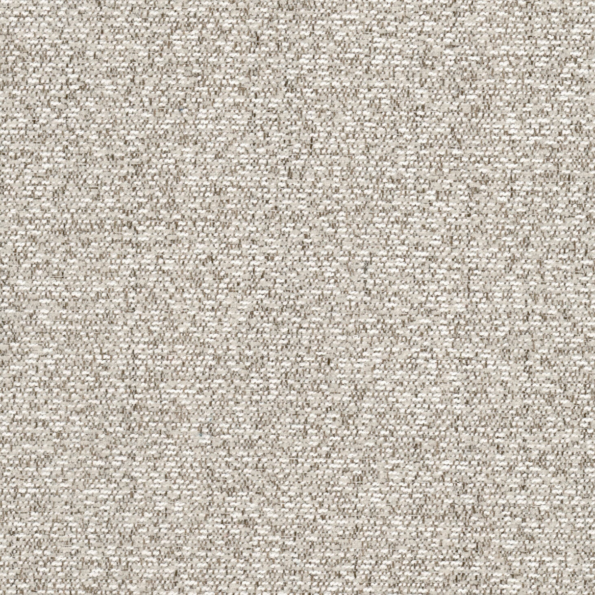 Eade's JOEY-4-sample BARK