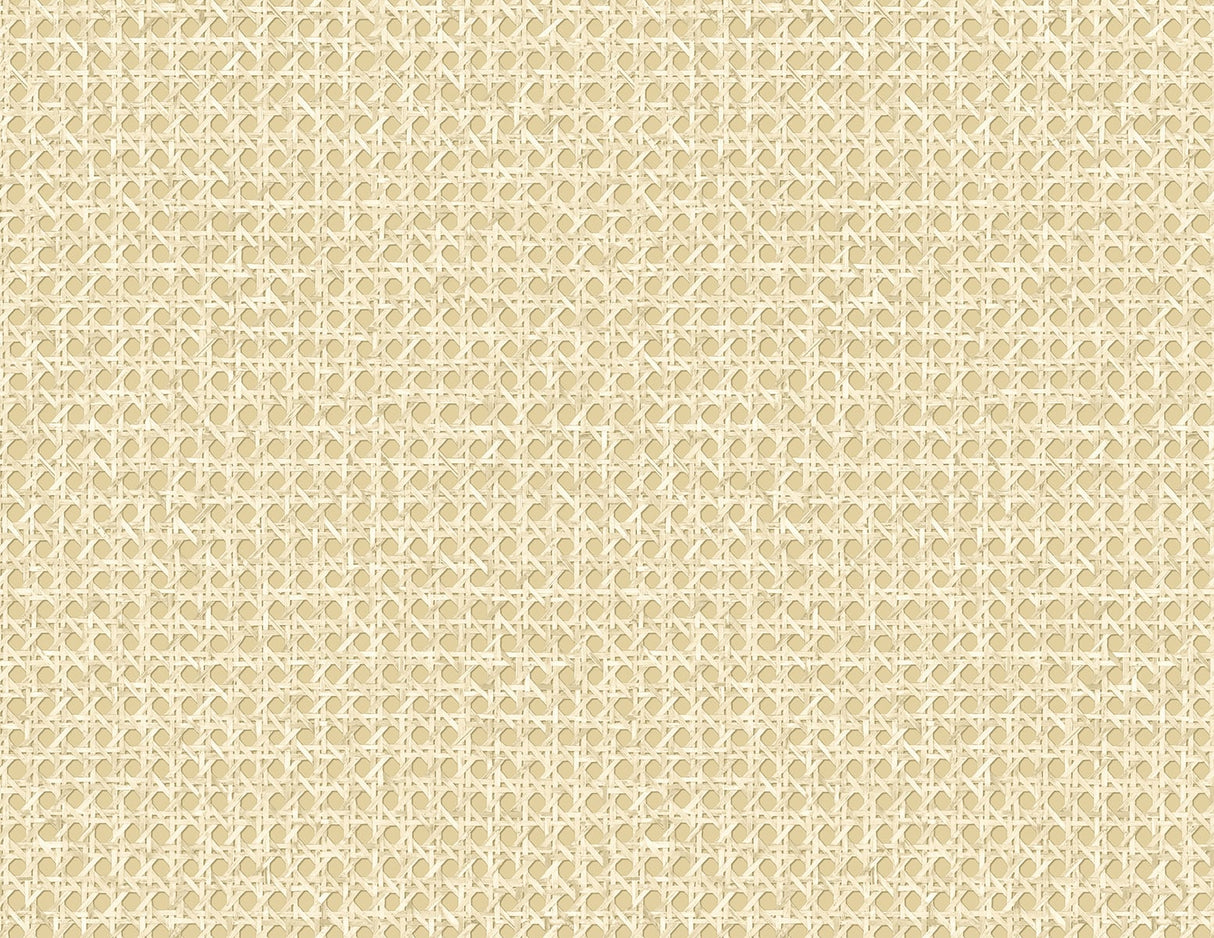 Seabrook Designs JP11203 Wallpaper - Eade's Wallpaper & Fabric