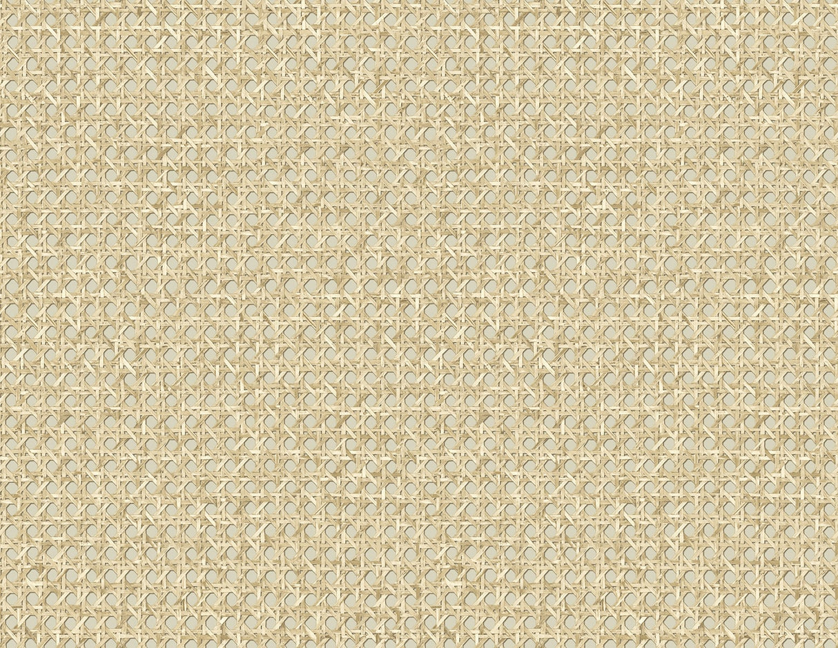 Seabrook Designs JP11205 Wallpaper - Eade's Wallpaper & Fabric