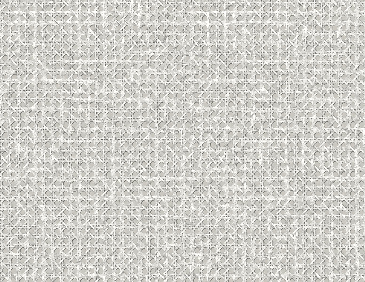 Seabrook Designs JP11208 Wallpaper - Eade's Wallpaper & Fabric