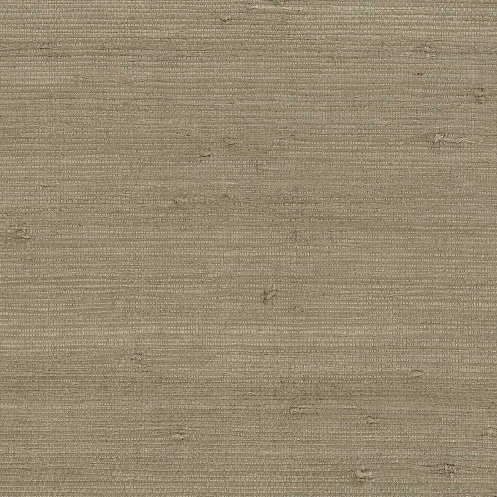 Patton / Norwall DG 488-431 Grasscloth