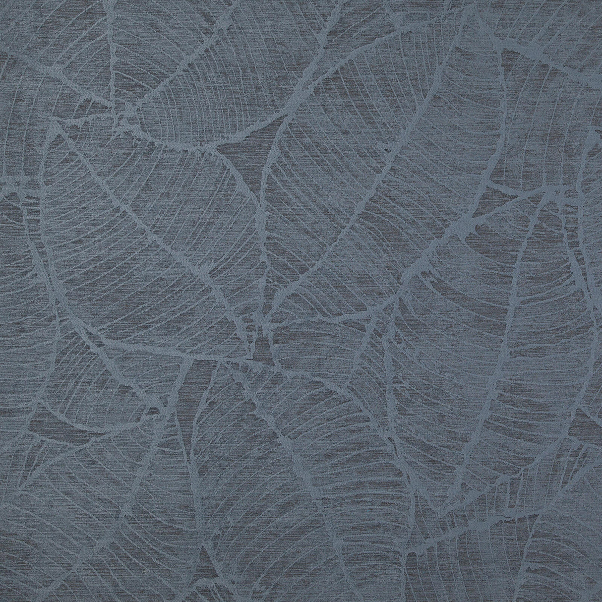 Eade’s # 809 DENIM