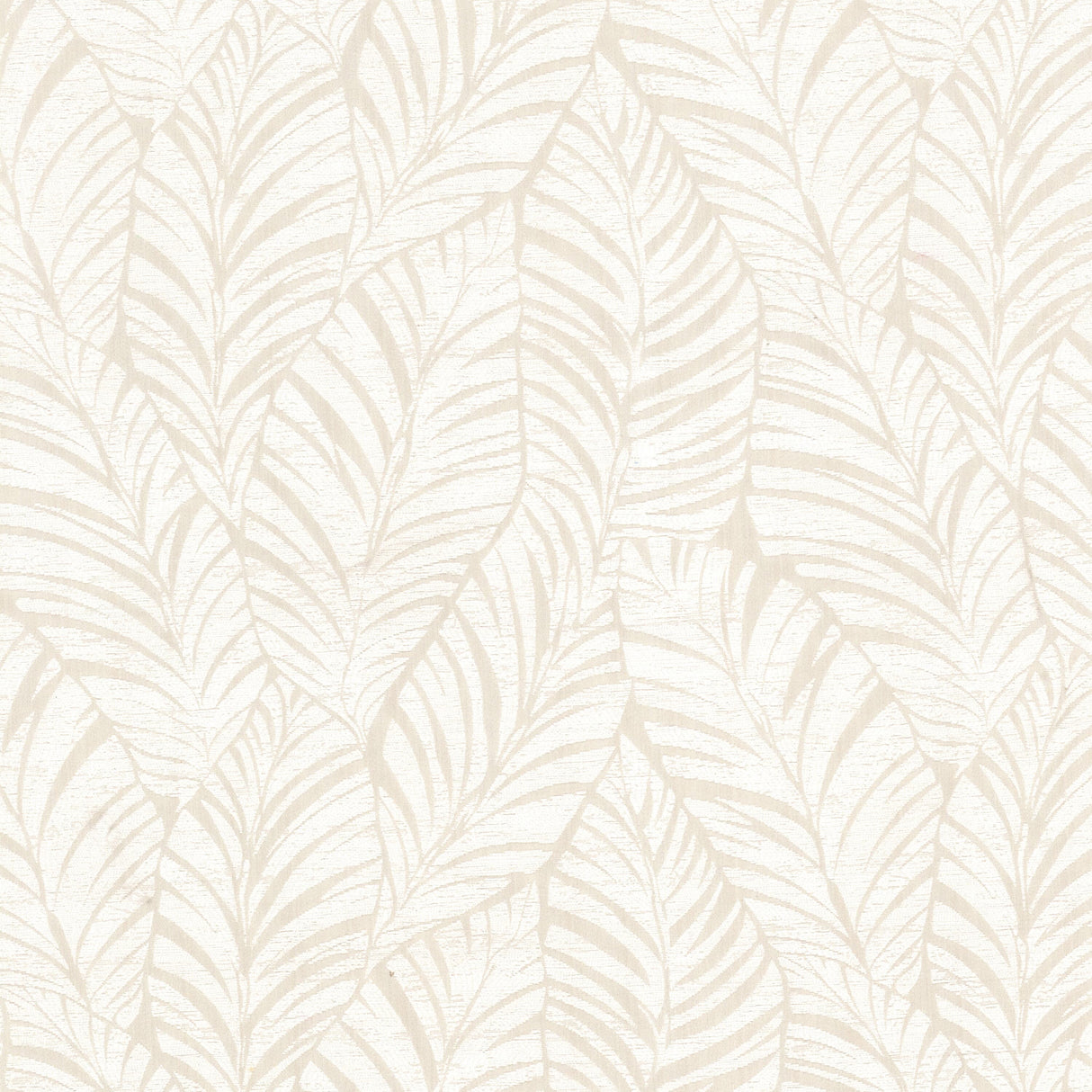 Eade's KENN-1-sample PARCHMENT