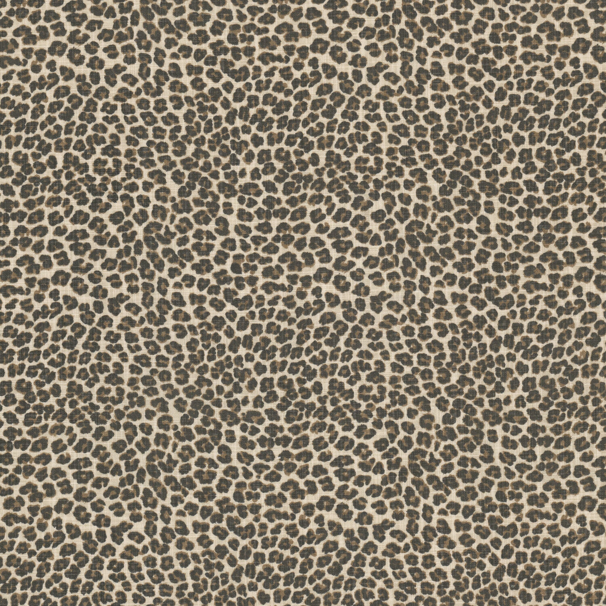 Eade's KENY-1-sample COFFEE