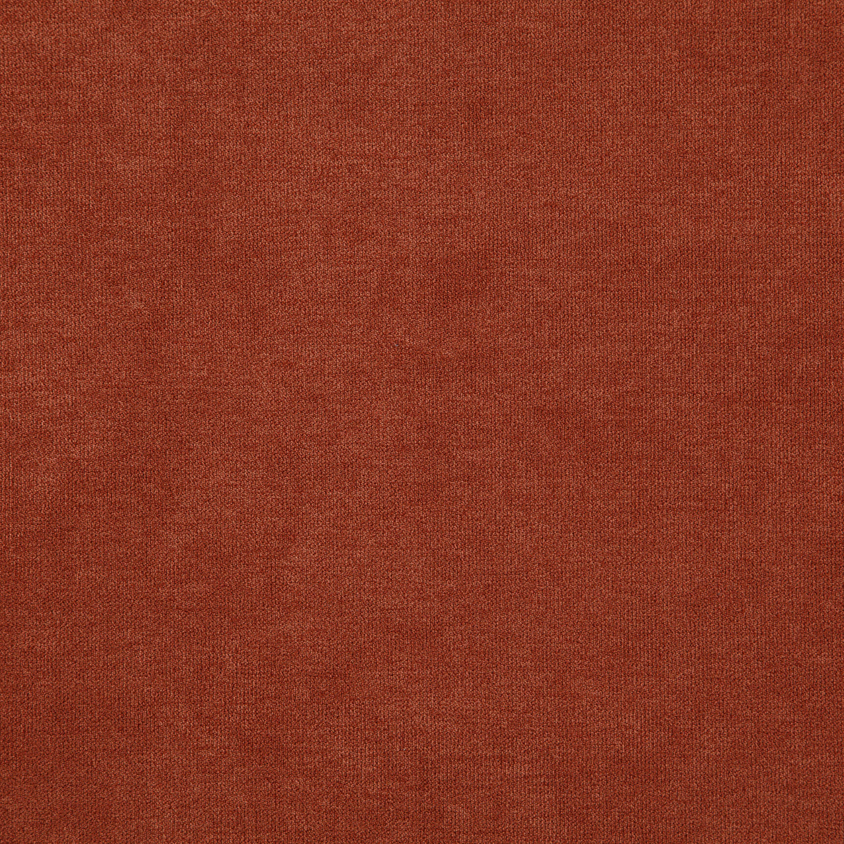 everyday 45-J8471 KOALA Fabric - Eade's Wallpaper & Fabric