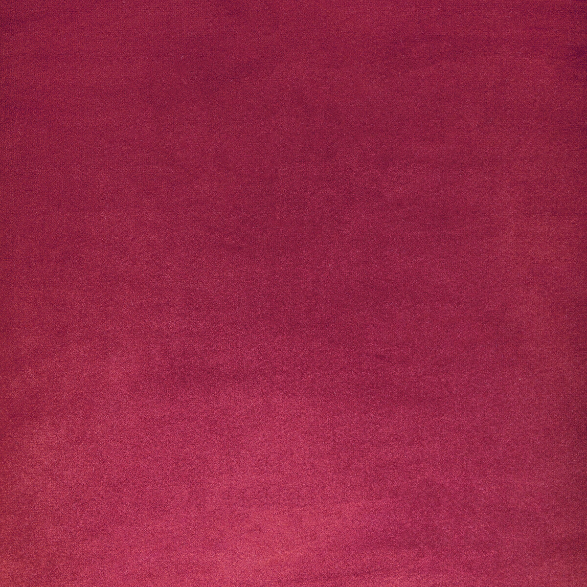 KRAVET CONTRACT KW-10065.3685MG39.0 ROCCO VELVET ROSA Fabric - Eade's Wallpaper