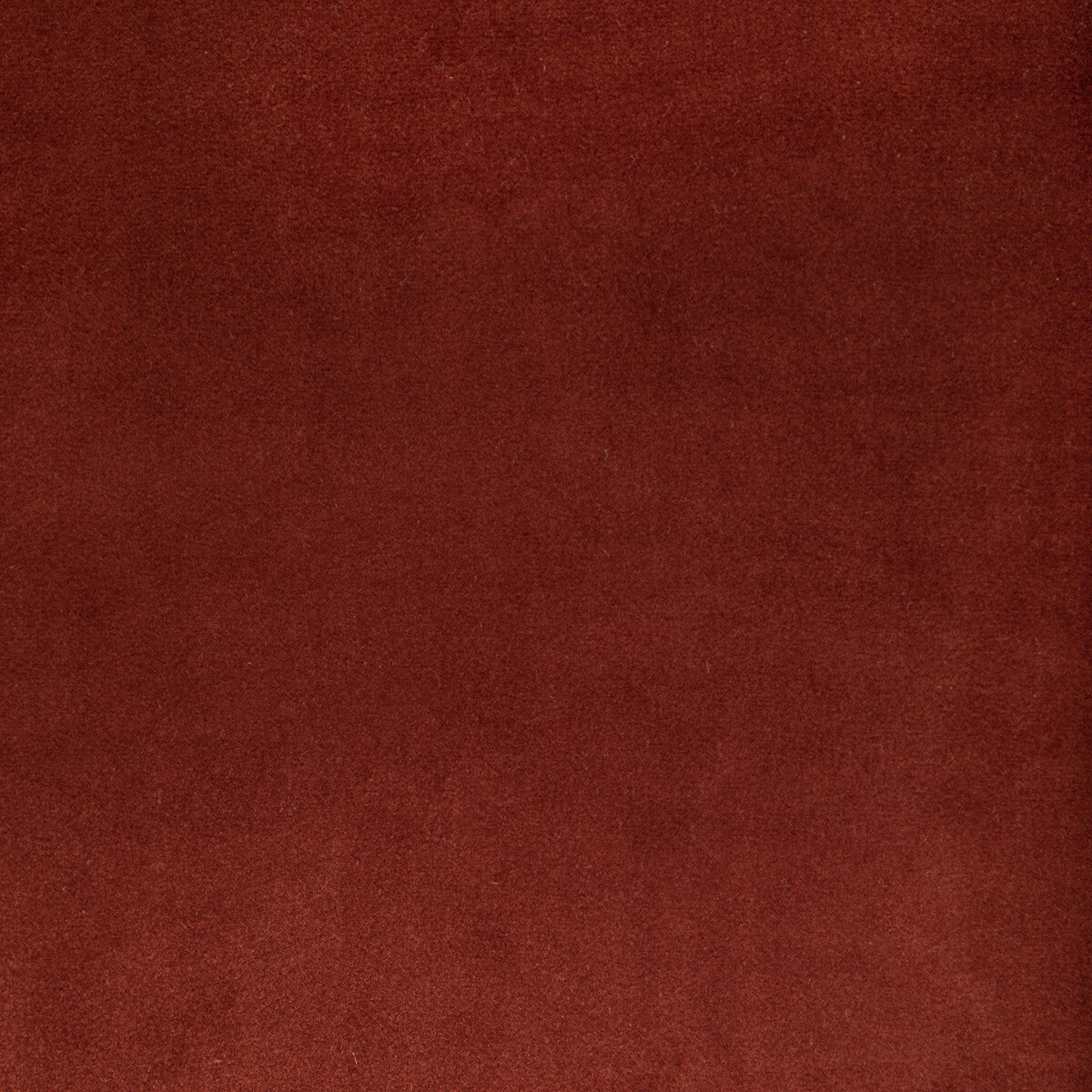 KRAVET CONTRACT KW-10065.3685MG46.0 ROCCO VELVET CLAY Fabric - Eade's Wallpaper