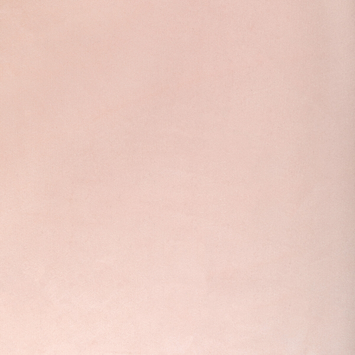 KRAVET CONTRACT KW-10065.3685MG47.0 ROCCO VELVET BLOSSOM Fabric - Eade's Wallpaper