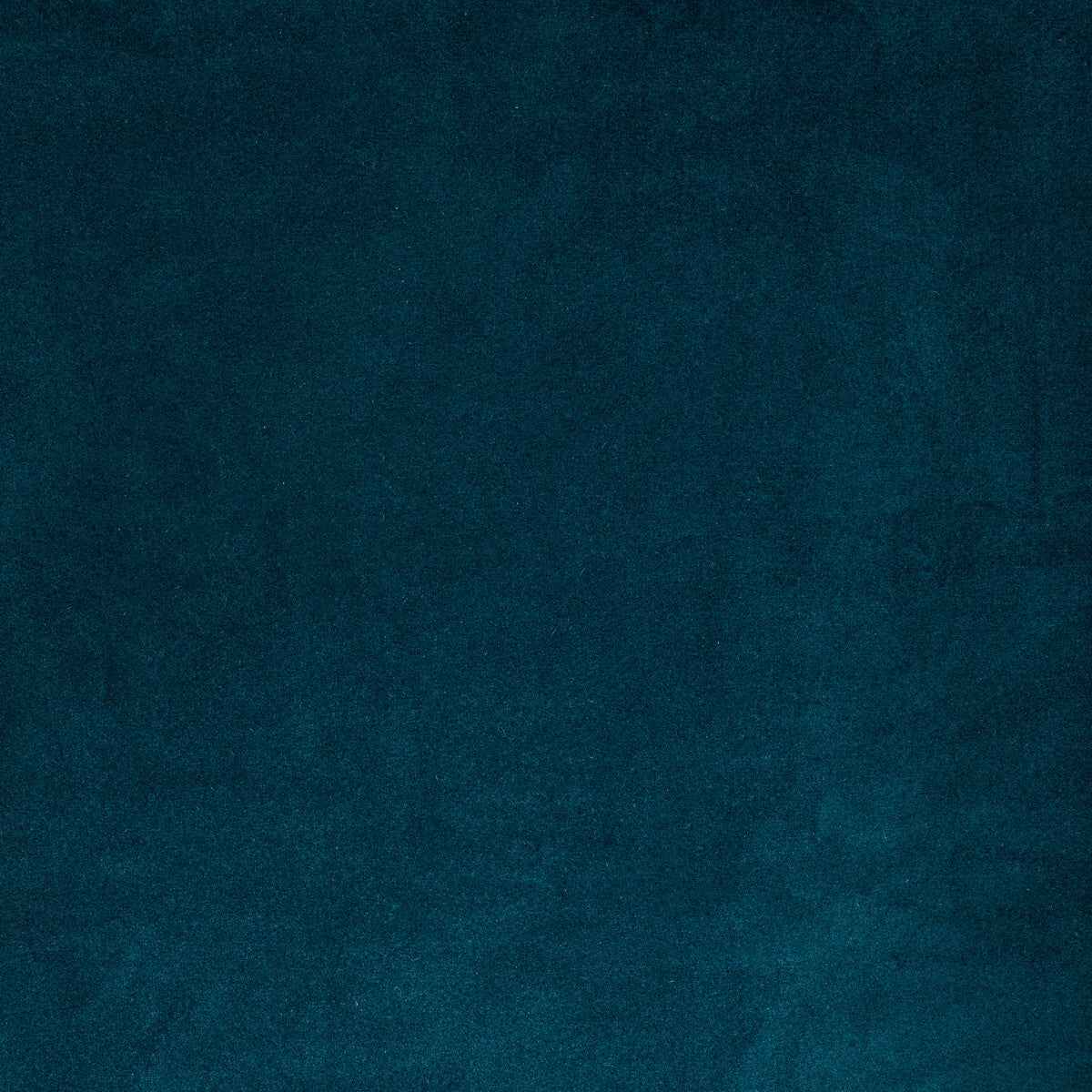 KRAVET CONTRACT KW-10065.3685MG57.0 ROCCO VELVET INK Fabric - Eade's Wallpaper