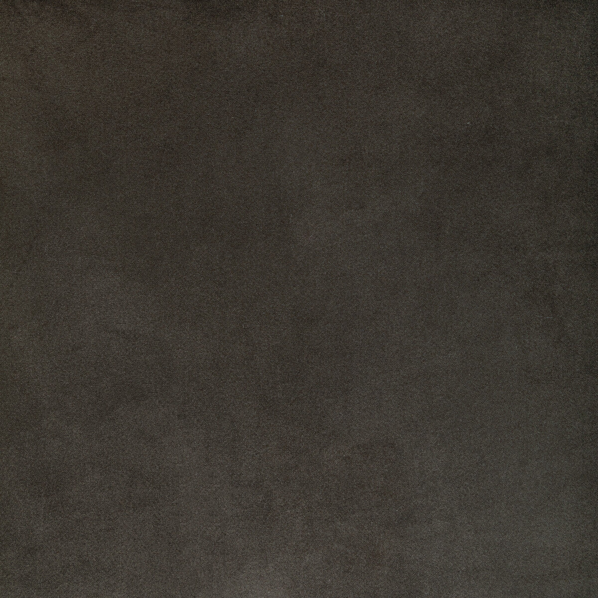 KRAVET CONTRACT KW-10065.3685MG65.0 ROCCO VELVET SHADOW Fabric - Eade's Wallpaper