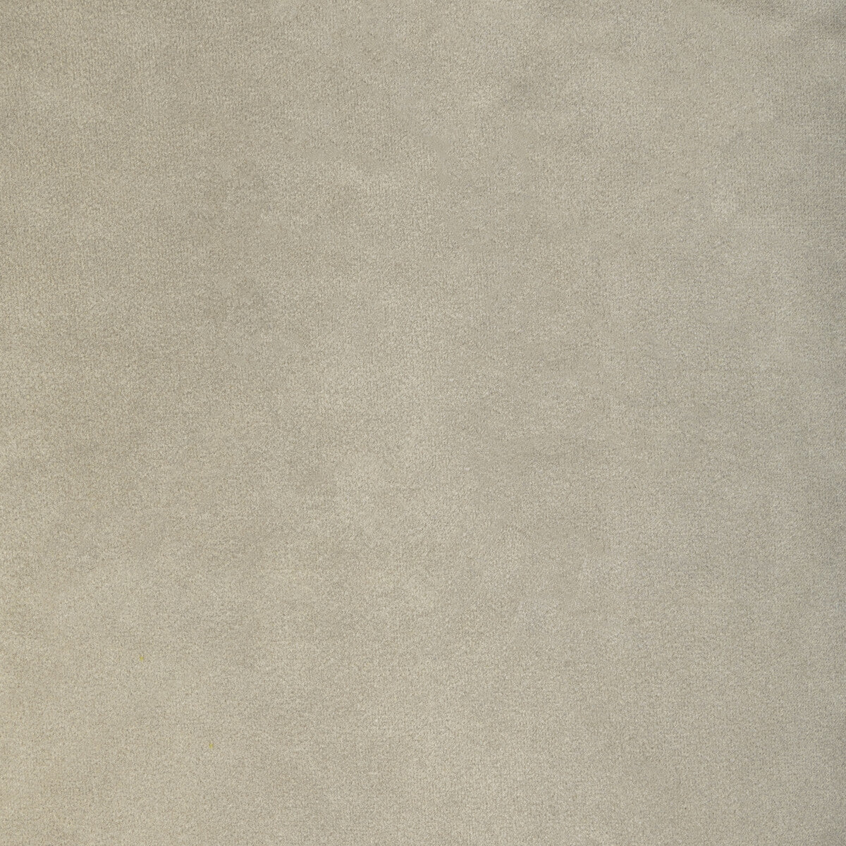 KRAVET CONTRACT KW-10065.3685MG7.0 ROCCO VELVET SILVER Fabric - Eade's Wallpaper