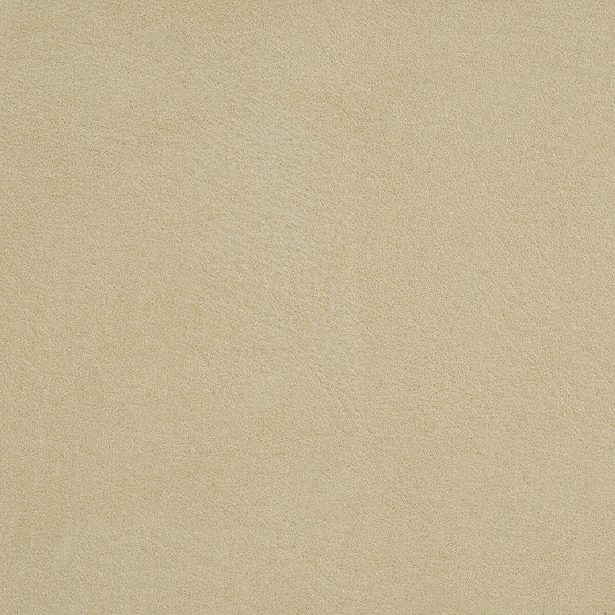 KRAVET DESIGN L-ARIZONA.PUTTY.0 L-ARIZONA PUTTY Fabric - Eade's Wallpaper