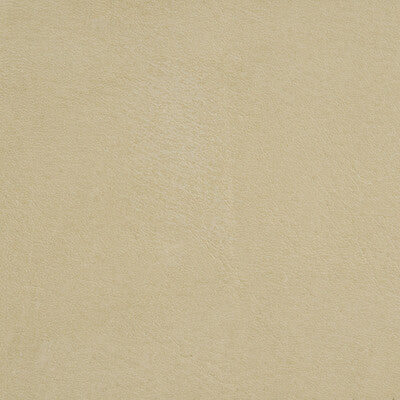 KRAVET DESIGN L-ARIZONA.PUTTY.0 L-ARIZONA PUTTY Fabric - Eade's Wallpaper
