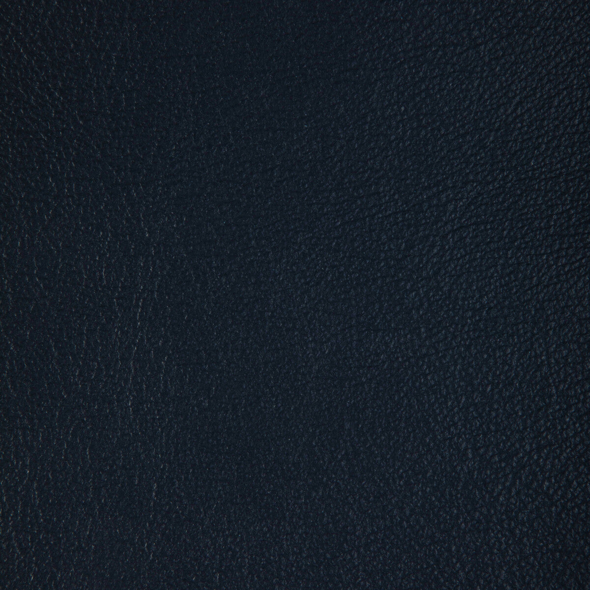 KRAVET DESIGN L-BADGER.ASTRO.0 KRAVET DESIGN L-BADGER-ASTRO Fabric - Eade's Wallpaper