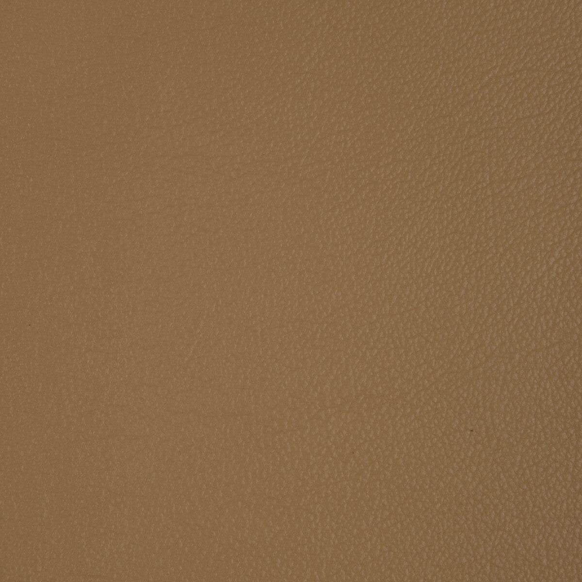 KRAVET DESIGN L-BADGER.CAMEL.0 KRAVET DESIGN L-BADGER-CAMEL Fabric - Eade's Wallpaper