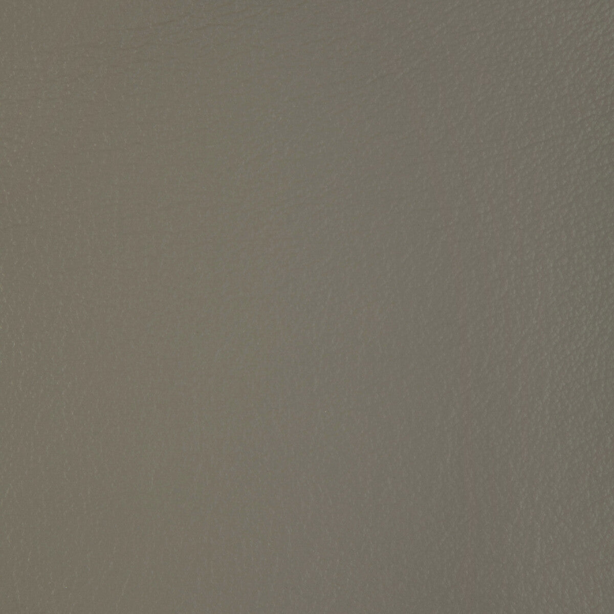 KRAVET DESIGN L-BADGER.DOVE.0 KRAVET DESIGN L-BADGER-DOVE Fabric - Eade's Wallpaper