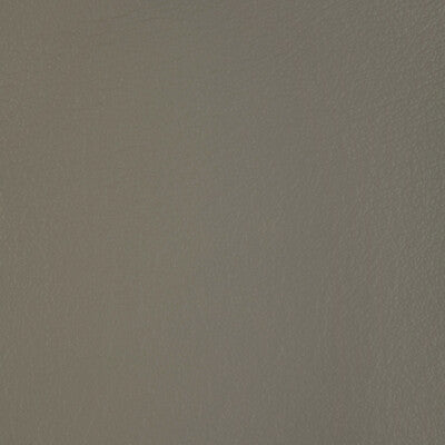 KRAVET DESIGN L-BADGER.DOVE.0 KRAVET DESIGN L-BADGER-DOVE Fabric - Eade's Wallpaper