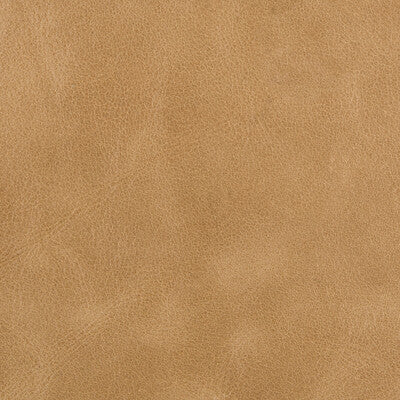 KRAVET COUTURE L-BERN.SCOTCH.0 BERN SCOTCH Fabric - Eade's Wallpaper
